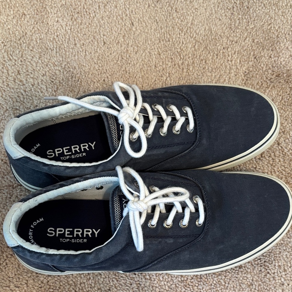 Sperry Men's Dark Blue Canvas Boat Shoes